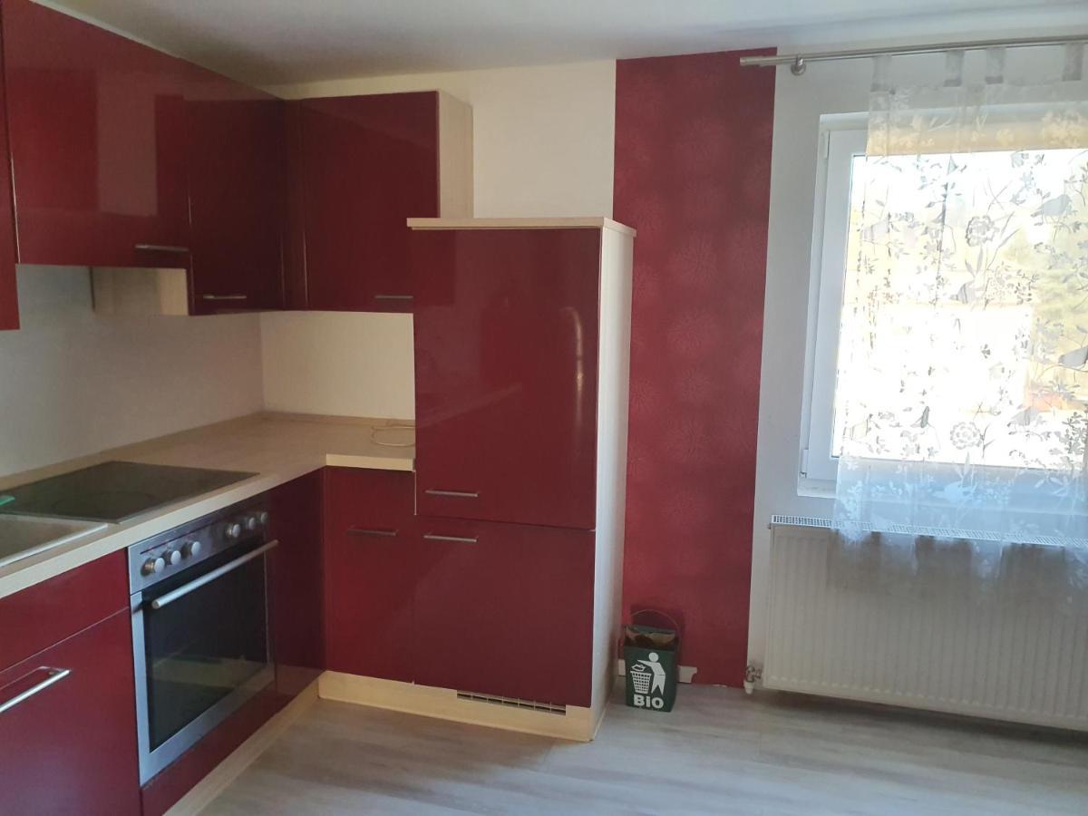 Andrea'S Apartment Rinchnach エクステリア 写真